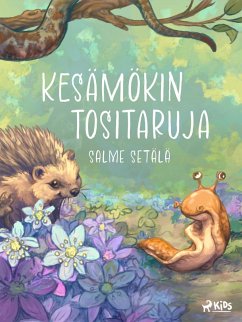 Cover Kesämökin tositaruja (eBook, ePUB)