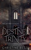 Destined Trinity (eBook, ePUB)