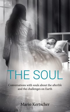 The Soul (eBook, ePUB)
