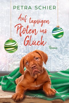 Auf tapsigen Pfoten ins Glück / Der Weihnachtshund Bd.7  - Schier, Petra