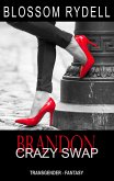 Brandon - Crazy Swap (eBook, ePUB)