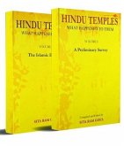 Hindu Temples (eBook, ePUB)
