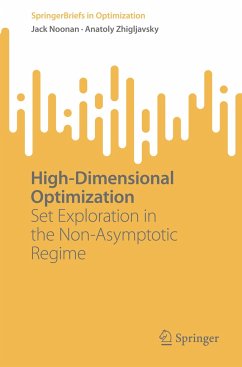 High-Dimensional Optimization - Noonan, Jack;Zhigljavsky, Anatoly