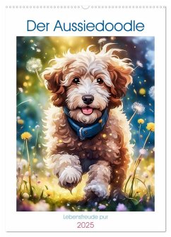 Der Aussiedoodle - Lebensfreude pur (Wandkalender 2025 DIN A2 hoch), CALVENDO Monatskalender - Calvendo;Beuck, Angelika