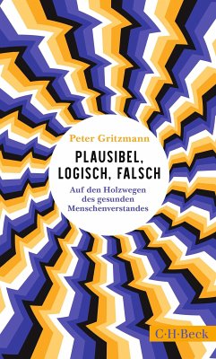 Plausibel, logisch, falsch (eBook, ePUB) - Gritzmann, Peter