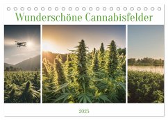 Wunderschöne Cannabisfelder (Tischkalender 2025 DIN A5 quer), CALVENDO Monatskalender