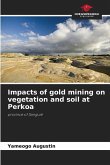 Impacts of gold mining on vegetation and soil at Perkoa