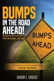 Bumps in the Road Ahead Bumps in the Road Ahead