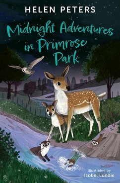 Midnight Adventures in Primrose Park (eBook, ePUB) - Peters, Helen