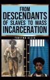 From Descendants of Slaves to Mass Incarceration (eBook, ePUB)