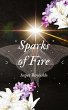 Sparks of Fire with bonus content - Bild 1