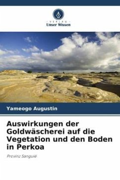 Auswirkungen der Goldwäscherei auf die Vegetation und den Boden in Perkoa - Augustin, Yameogo