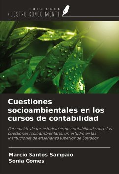 Cover Cuestiones socioambientales en los cursos de contabilidad