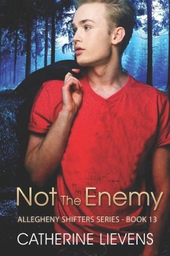 Not the Enemy - Lievens, Catherine