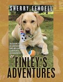 Finley's Adventures (eBook, ePUB)