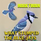 What Stumped the Blue Jays (MP3-Download)