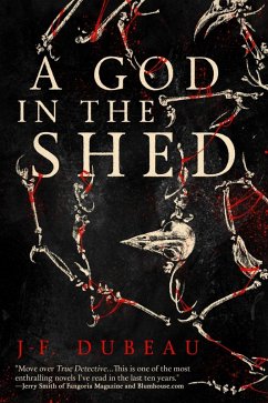 A God in the Shed (eBook, ePUB) - Dubeau, J-F.