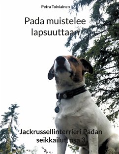 Pada muistelee lapsuuttaan (eBook, ePUB) - Toiviainen, Petra