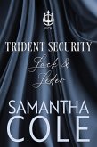 Trident Security: Lack & Leder (eBook, ePUB)