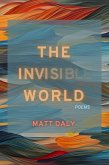 The Invisible World (eBook, ePUB)