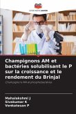 Champignons AM et bactéries solubilisant le P sur la croissance et le rendement du Brinjal