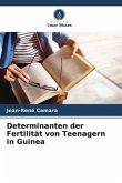 Determinanten der Fertilität von Teenagern in Guinea