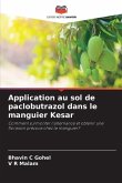 Application au sol de paclobutrazol dans le manguier Kesar