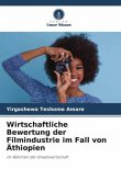 Wirtschaftliche Bewertung der Filmindustrie im Fall von Äthiopien