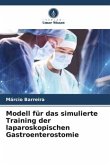 Modell für das simulierte Training der laparoskopischen Gastroenterostomie