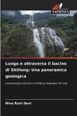 Lungo e attraverso il bacino di Shillong: Una panoramica geologica