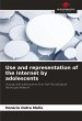 Use and representation of the Internet... - Bild 1