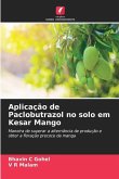Aplicação de Paclobutrazol no solo em Kesar Mango