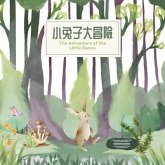 The Adventure of the Little Bunny (eBook, ePUB)
