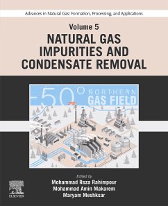 Advances in Natural Gas: Formation, Processing, and Applications. Volume 5: Natural Gas Impurities and Condensate Removal (eBook, ePUB)