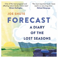 Forecast (MP3-Download) - Shute, Joe