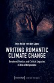 Writing Romantic Climate Change (eBook, PDF)