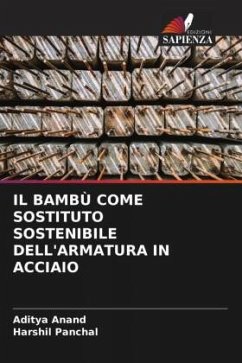 IL BAMBÙ COME SOSTITUTO SOSTENIBILE DELL'ARMATURA IN ACCIAIO - Anand, Aditya;Panchal, Harshil