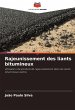 Rajeunissement des liants bitumineux - Bild 1
