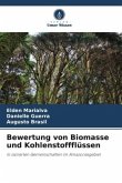 Bewertung von Biomasse und Kohlenstoffflüssen