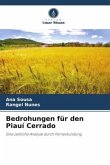 Bedrohungen für den Piauí Cerrado