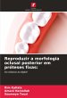 Reproduzir a morfologia oclusal... - Bild 1