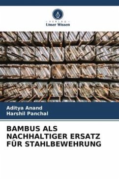 BAMBUS ALS NACHHALTIGER ERSATZ FÜR STAHLBEWEHRUNG - Anand, Aditya;Panchal, Harshil