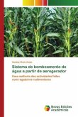 Sistema de bombeamento de água a partir de aerogerador