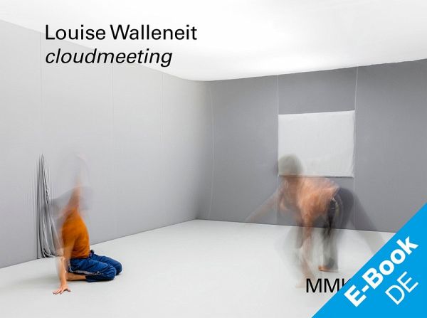 Louise Walleneit: cloudmeeting (eBook, ePUB)