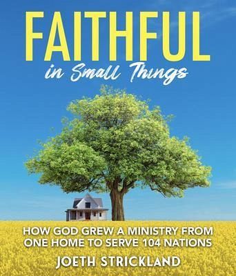 Faithful in Small Things (eBook, ePUB)