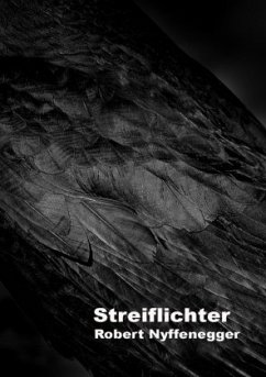 Streiflichter - Nyffenegger, Robert