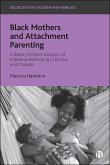 Black Mothers and Attachment Parenting (eBook, ePUB)