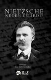 Nietzsche Neden Delirdi