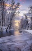 River Of Tears (eBook, ePUB)