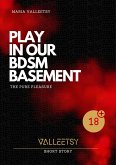 Play in our BDSM Basement (eBook, ePUB)